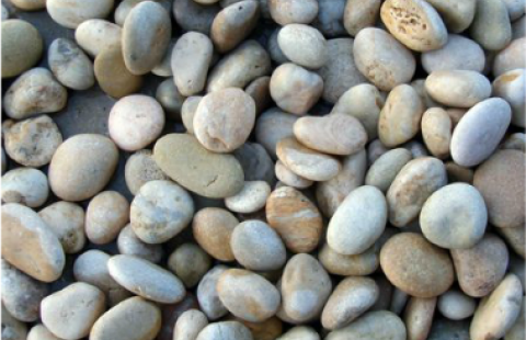 Yellow Pebbles